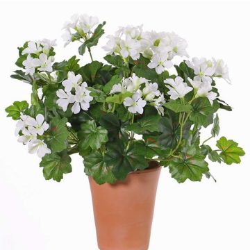 Umělé pelargónie BERENIKE na tyči, crossdoor, bílá, 40cm, Ø5-8cm Umělé pelargónie BERENIKE na tyči, crossdoor, bílá, 40cm, Ø5-8cm