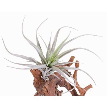 Plastová Tillandsia Stricta ADELE na tyči, zeleno-šedá, 25cm, Ø20cm Plastová Tillandsia Stricta ADELE na tyči, zeleno-šedá, 25cm, Ø20cm