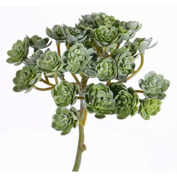 Art Echeveria BLAIR na tyči, zelená, 20cm, Ø10cm Art Echeveria BLAIR na tyči, zelená, 20cm, Ø10cm