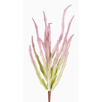 Umělý pryšec trojhranný REESE na zápichu, růžovo-zelená, 30cm, Ø20cm Umělý pryšec trojhranný REESE na zápichu, růžovo-zelená, 30cm, Ø20cm