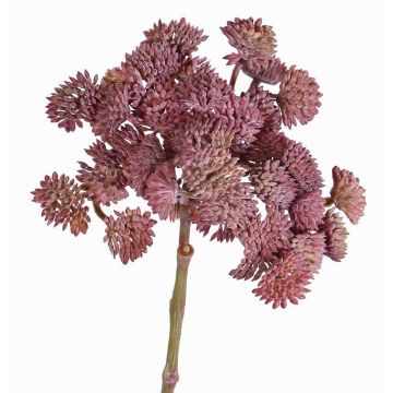 Plastové sedum DANICA, tmavě červené, 20cm, Ø10cm Plastové sedum DANICA, tmavě červené, 20cm, Ø10cm