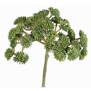 Plastové sedum DANICA, zelené, 20cm, Ø10cm Plastové sedum DANICA, zelené, 20cm, Ø10cm