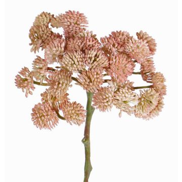 Plastové sedum DANICA, růžové, 20cm, Ø10cm Plastové sedum DANICA, růžové, 20cm, Ø10cm