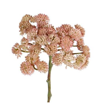 Plastové sedum DANICA, růžové, 20cm, Ø10cm