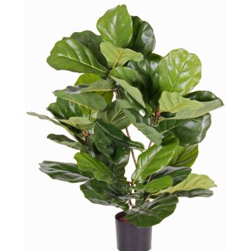 Umělý Ficus lyrata RHYS, pro interiér i exteriér, zelený, 70cm Umělý Ficus lyrata RHYS, pro interiér i exteriér, zelený, 70cm
