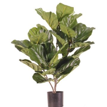 Umělý Ficus lyrata RHYS, pro interiér i exteriér, zelený, 70cm Umělý Ficus lyrata RHYS, pro interiér i exteriér, zelený, 70cm