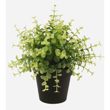 Umělý eukalyptus YANIS, zelený, 20cm