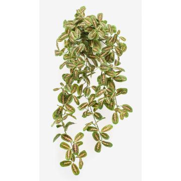 Umělá maranta PARANA na zápichu, zelená, 70cm Umělá maranta PARANA na zápichu, zelená, 70cm