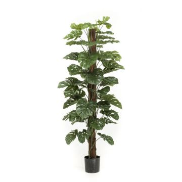 Umělý filodendron Monstera Deliciosa LASO, 180cm Umělý filodendron Monstera Deliciosa LASO, 180cm