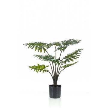 Umělý filodendron Selloum FRIO, 60cm Umělý filodendron Selloum FRIO, 60cm