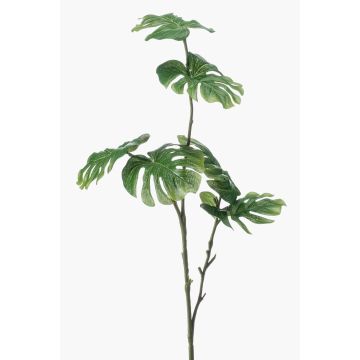 Art Philodendron Monstera Deliciosa AECIO, hůl, 70cm Art Philodendron Monstera Deliciosa AECIO, hůl, 70cm