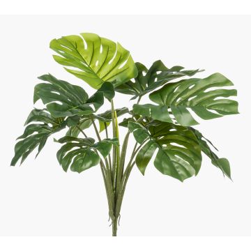 Art Philodendron Monstera Deliciosa BRITI, hůl, 60cm Art Philodendron Monstera Deliciosa BRITI, hůl, 60cm