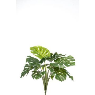 Art Philodendron Monstera Deliciosa BRITI, hůl, 60cm