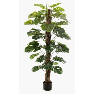 Umělý filodendron Monstera Deliciosa TILA, 150cm Umělý filodendron Monstera Deliciosa TILA, 150cm