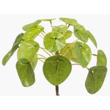 Umělá květina pilea SYBIL na zápichu, zelený, 13cm