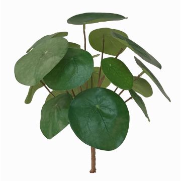 Umělá květina pilea SYBIL na zápichu, zelený, 20cm