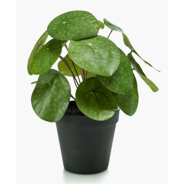 Umělá pilea SYBIL, zelená, 20cm
