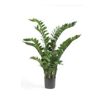 Umělá rostlina zamioculcas SIMANO, 130cm Umělá rostlina zamioculcas SIMANO, 130cm