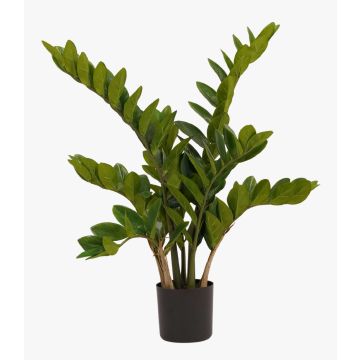 Umělá rostlina zamioculcas SIMANO, 70cm