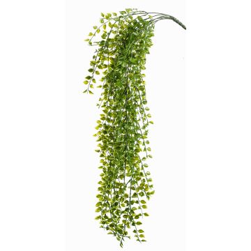 Umělecký lezecký fík CABOT na hůlce, crossdoor, 80cm Umělecký lezecký fík CABOT na hůlce, crossdoor, 80cm