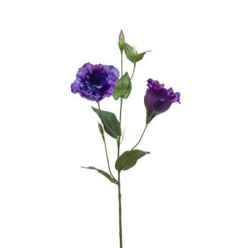 Umělá květina Lisianthus JENO, fialová, 60cm, Ø6-8cm Umělá květina Lisianthus JENO, fialová, 60cm, Ø6-8cm