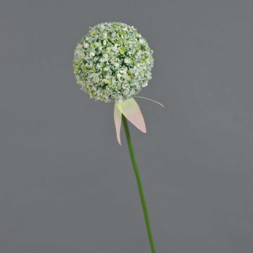Umělé Allium DURBAN, bílé, 70cm, Ø9cm Umělé Allium DURBAN, bílé, 70cm, Ø9cm