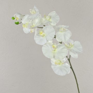 Plastová větev orchideje Phalaenopsis ANAT, krémová, 100cm