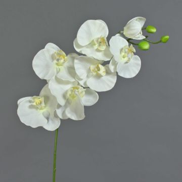 Plastová větev orchideje Phalaenopsis BASTET, bílá, 80cm