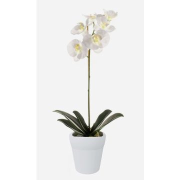 Art Phalaenopsis Orchid ISIS, keramický hrnec, bílý, 55 cm