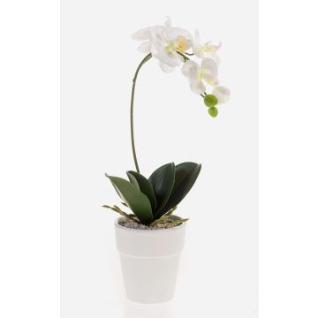 Art Phalaenopsis Orchid ISIS, keramický hrnec, bílý, 40 cm
