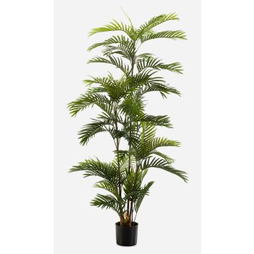 Umělá palma Areca FEDERICO, 180 cm