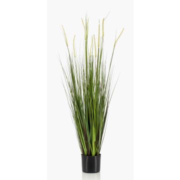 Umělá psárka OTIS s latami, zelená, 120cm