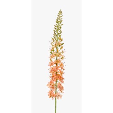 Umělé květinové stepní svíčky AOMORI, krémově růžové, 105cm, Ø9cm