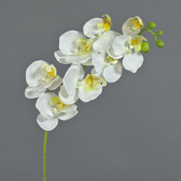 Umělá větev orchideje Phalaenopsis MINA, bílá, 70cm