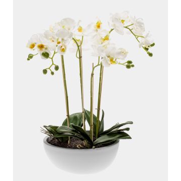 Umělá orchidej phalaenopsis MINA v keramickém květináči, bílá, 60cm Umělá orchidej phalaenopsis MINA v keramickém květináči, bílá, 60cm