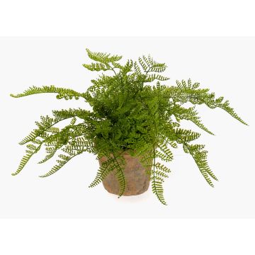 Umělá kapradina MELLEA v terakotovém květináči, zelená, 25cm Umělá kapradina MELLEA v terakotovém květináči, zelená, 25cm