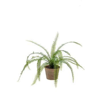 Umělá kapradina s mečem GARIBALDI v terakotovém květináči, zelená, 60cm Umělá kapradina s mečem GARIBALDI v terakotovém květináči, zelená, 60cm
