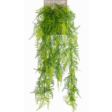 Věšák Art Asparagus plumosus COLE, tyčinka, 80cm