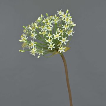 Umělé Allium BRAIS, bílé, 90cm, Ø20cm Umělé Allium BRAIS, bílé, 90cm, Ø20cm