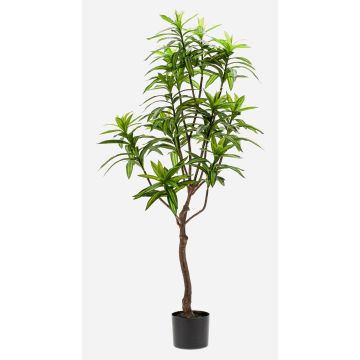 Umělý stromek Dracaena OSAKA, zelený, 130cm