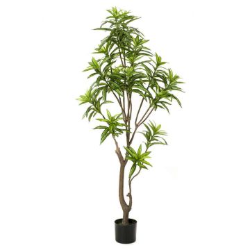 Umělý stromek Dracaena OSAKA, zelený, 155cm Umělý stromek Dracaena OSAKA, zelený, 155cm