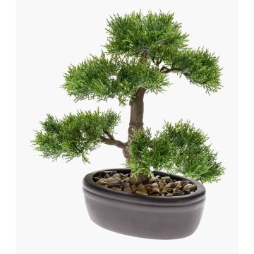 Umělý bonsai cedr BERTOLT v misce, 30cm Umělý bonsai cedr BERTOLT v misce, 30cm