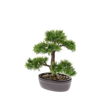 Umělý bonsai cedr BERTOLT v misce, 30cm Umělý bonsai cedr BERTOLT v misce, 30cm