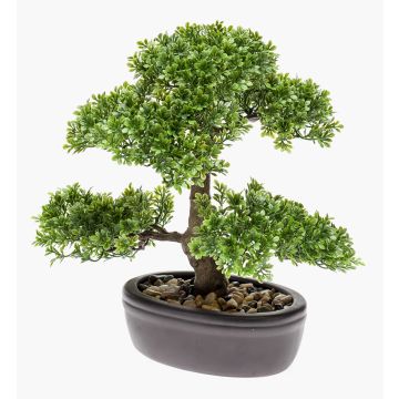 Umělý bonsai Ficus HESPER v misce, 30cm