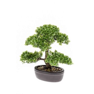 Umělý bonsai Ficus HESPER v misce, 30cm Umělý bonsai Ficus HESPER v misce, 30cm