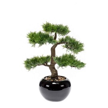 Umělý bonsai cedr ADARA v keramickém květináči, 35 cm Umělý bonsai cedr ADARA v keramickém květináči, 35 cm