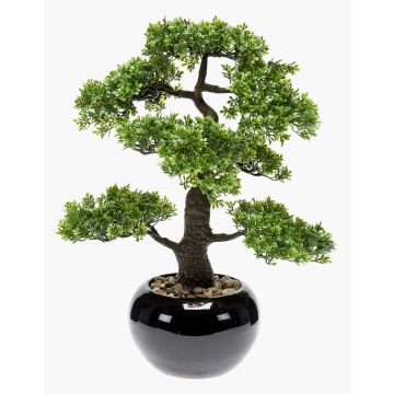 Art bonsai Ficus ASHER v keramickém květináči, 45cm
