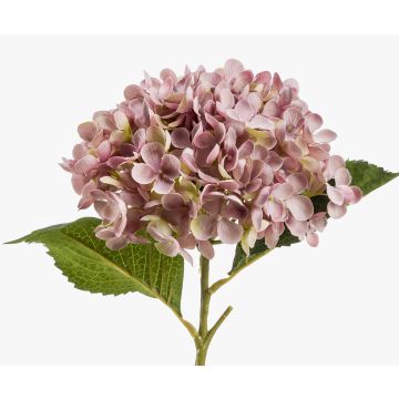 Umělá hortenzie EGIA, růžová, 50cm, Ø16cm Umělá hortenzie EGIA, růžová, 50cm, Ø16cm