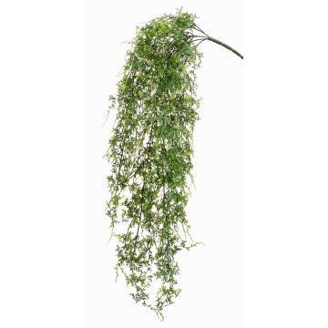 Umělecký věšák na kapradí KALI, hůl, crossdoor, zelená, 80cm Umělecký věšák na kapradí KALI, hůl, crossdoor, zelená, 80cm