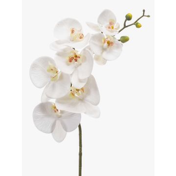 Umělá větev orchideje Phalaenopsis NEITH, bílá, 85cm